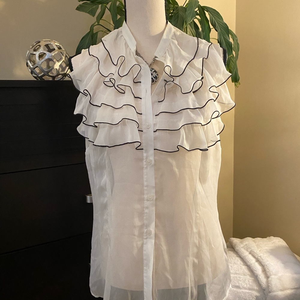 The Limited Sheer Ruffled Blouse - Picture 4 of 10